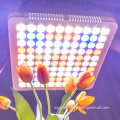 hydroponic full spectrum led grow light 300w